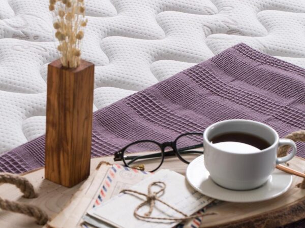 Lit-coffre/Matelas Elastica — photo 3